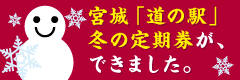�{��u���̉w�v�~�̒�������A�ł��܂����B