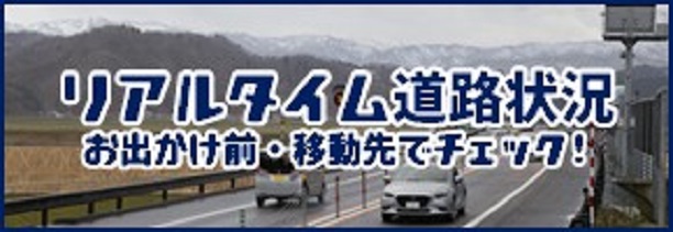 リアルタイム道路状況
